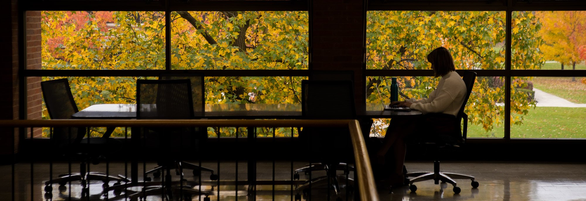A student works in the «Ӱҵ College of Pharmacy. Fall leaves decorate the campus of «Ӱҵ.